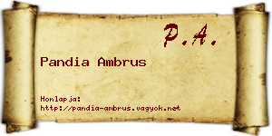 Pandia Ambrus névjegykártya